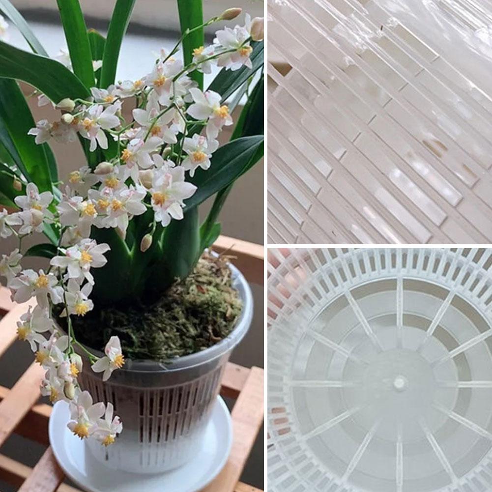 Mesh Pot Root Control Transpar - đánh giá và giá Aloe Vera Pot