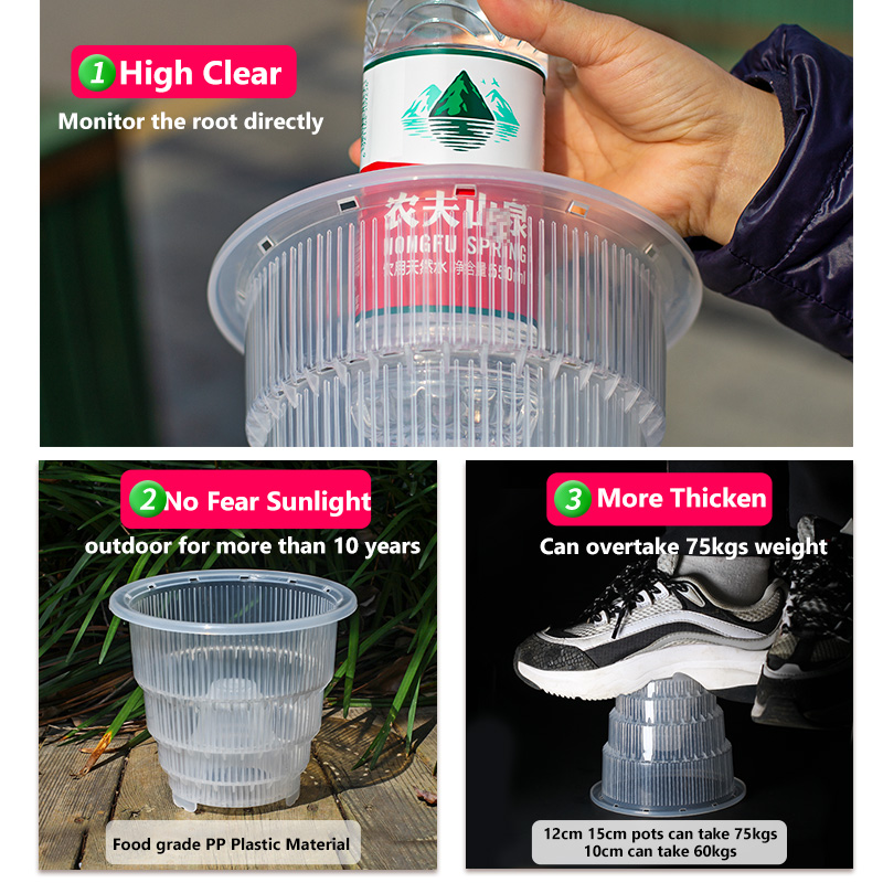 Meshpot Clear Plastic Orchid P - đánh giá và giá Aloe Vera Pot