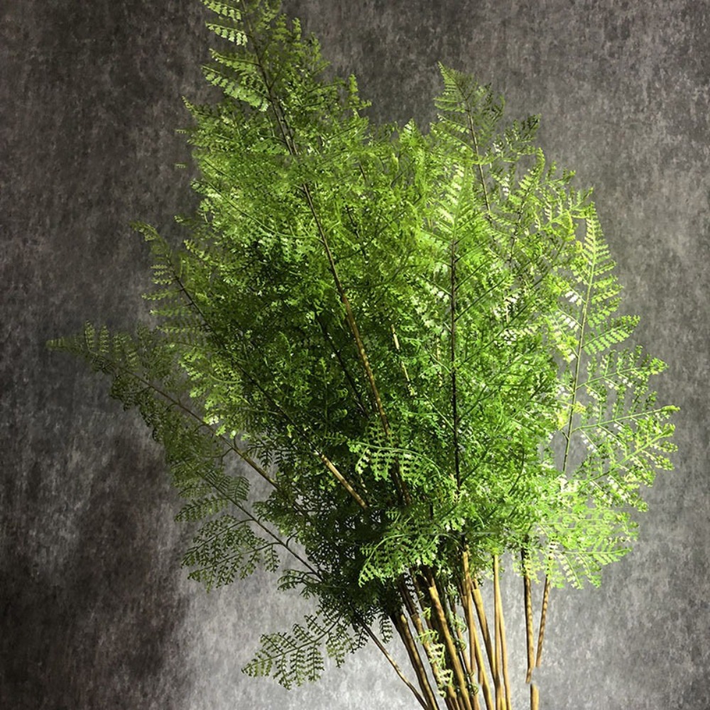 Realistic Artificial Fern Plan - đánh giá và giá Dracaena Marginata