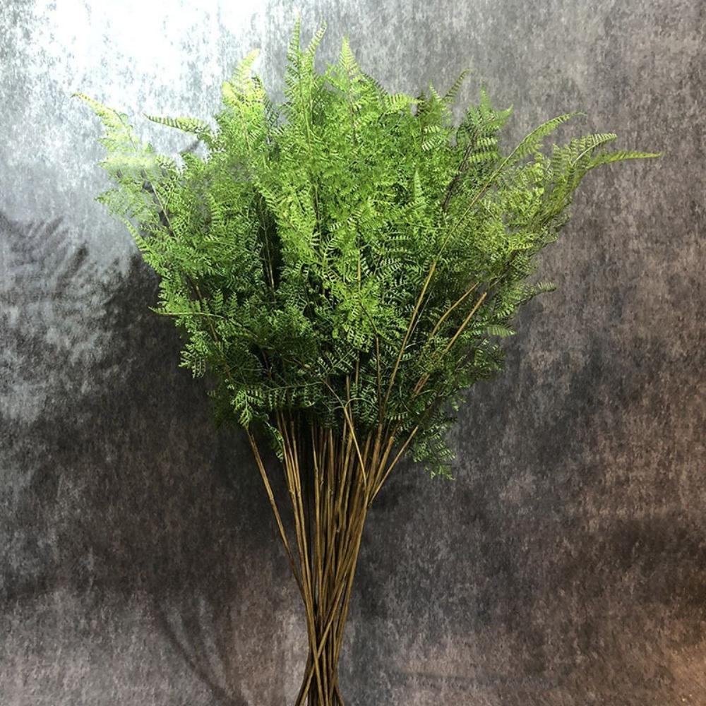 Realistic Artificial Fern Plan - đánh giá và giá Dracaena Marginata