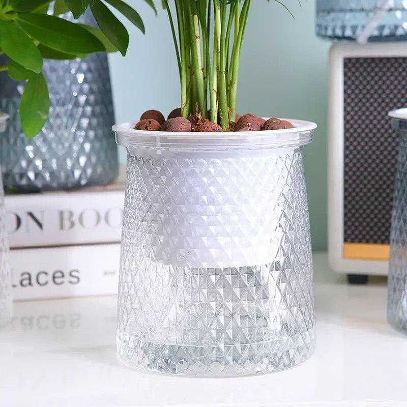 2024 Transparent Self Watering - đánh giá và giá Aloe Vera Pot
