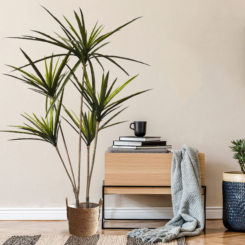 90-120Cm Nhân Tạo Lớn Thiến Th - đánh giá và giá Dracaena Marginata