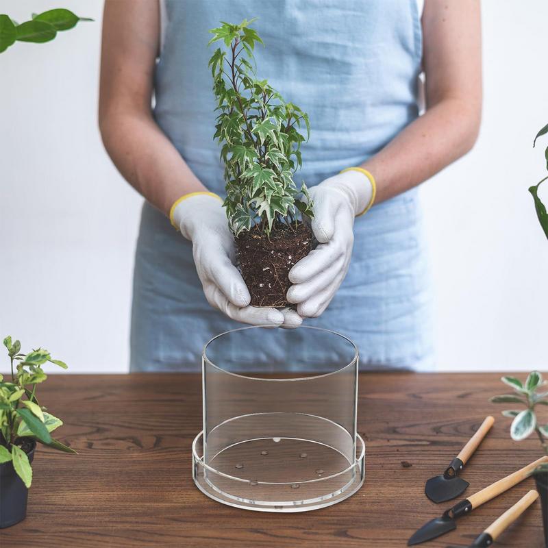 Clear Plant Pots With Drainage - đánh giá và giá Aloe Vera Pot