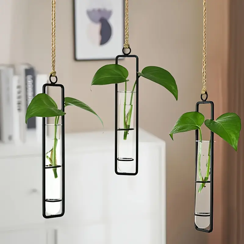 1Pc Fashionable Metal Pointed  - đánh giá và giá Aloe Vera Pot
