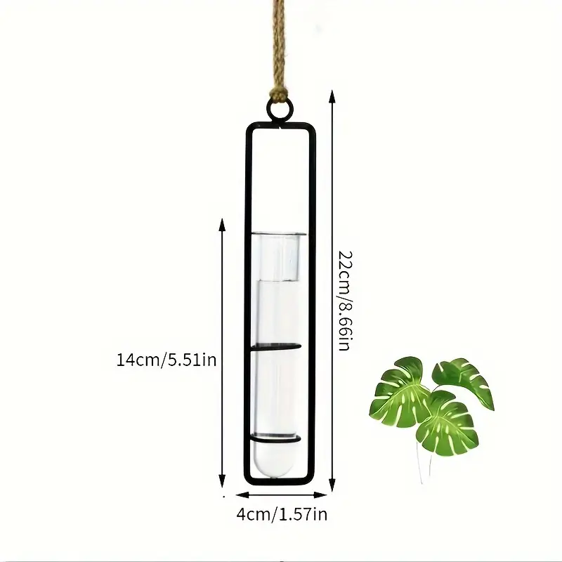 1Pc Fashionable Metal Pointed  - đánh giá và giá Aloe Vera Pot