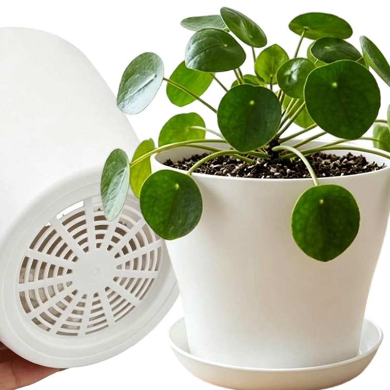 Plant Pot Set with Drainage Ho - đánh giá và giá Aloe Vera Pot