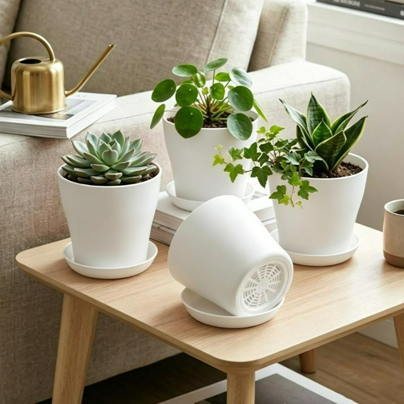 Plant Pot Set with Drainage Ho - đánh giá và giá Aloe Vera Pot