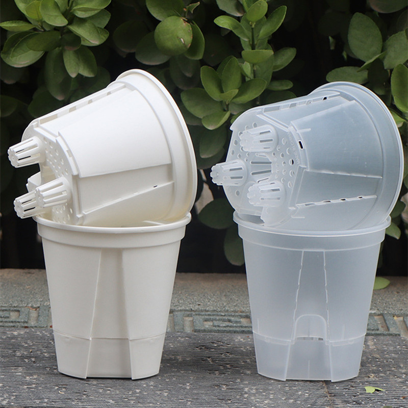 5pcs Transparent Orchid Pot wi - đánh giá và giá Aloe Vera Pot