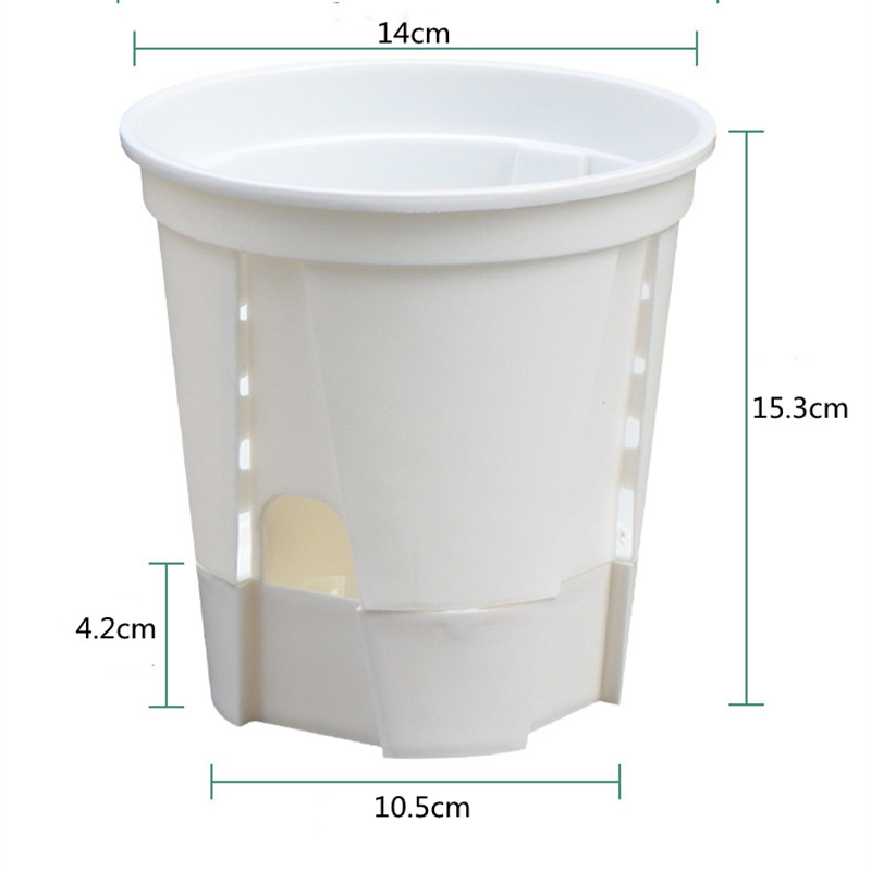 5pcs Transparent Orchid Pot wi - đánh giá và giá Aloe Vera Pot